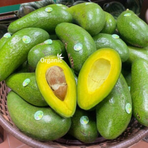 Bơ sáp Đắk Lắk