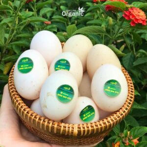 Trứng vịt Quế Lâm
