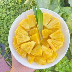 Dứa mật MD2