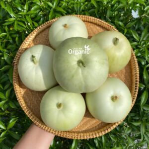 Dưa lê Quế Lâm
