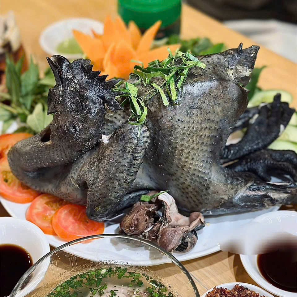 Gà Đen H'Mông Quế Lâm