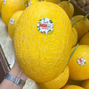 Dưa lưới