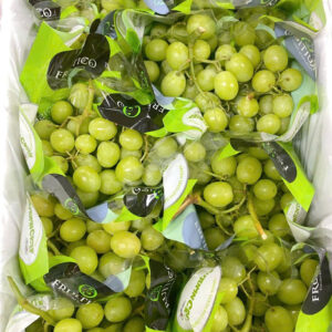 Nho xanh Fruitico Úc Autumn Crisp