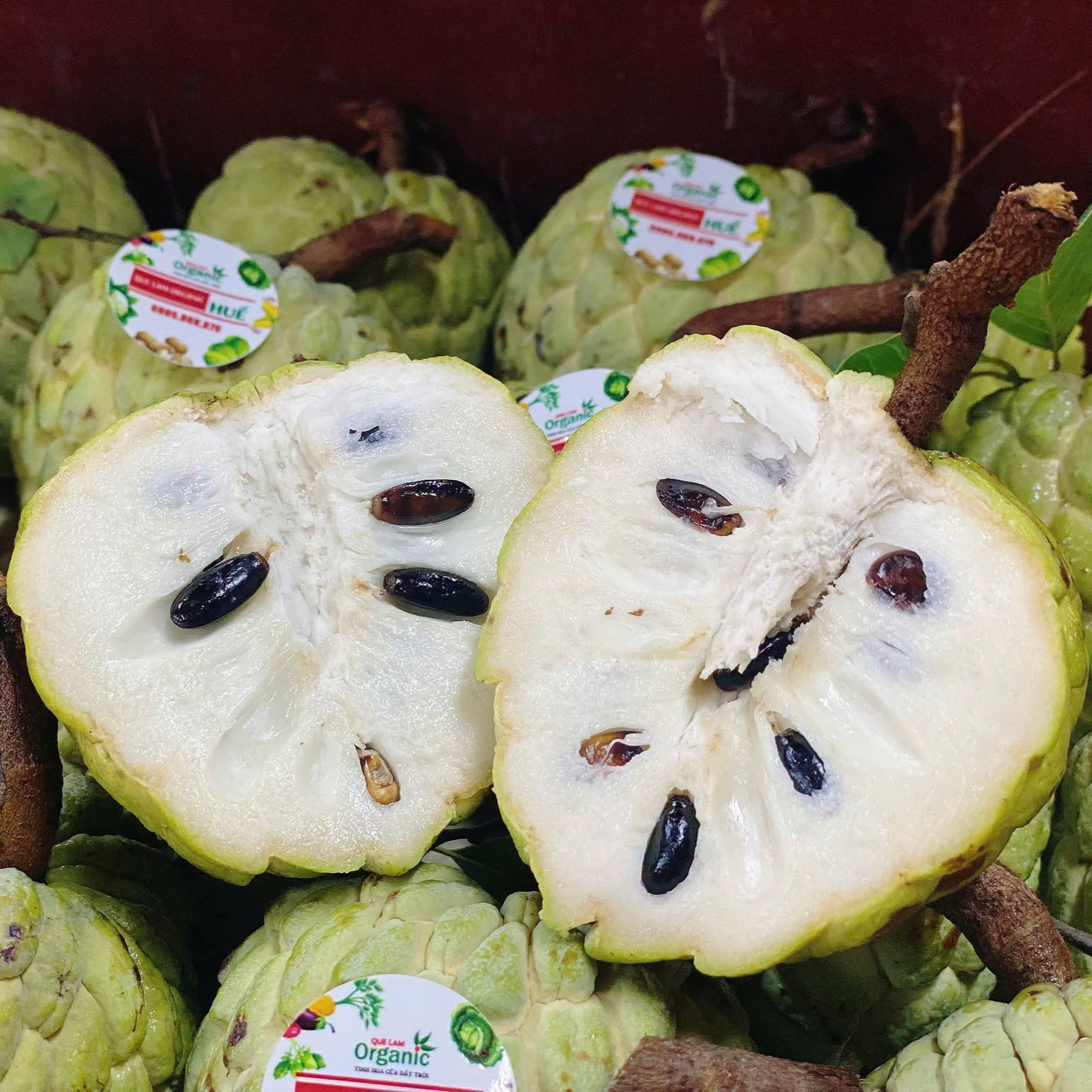 Na hữu cơ Quế Lâm