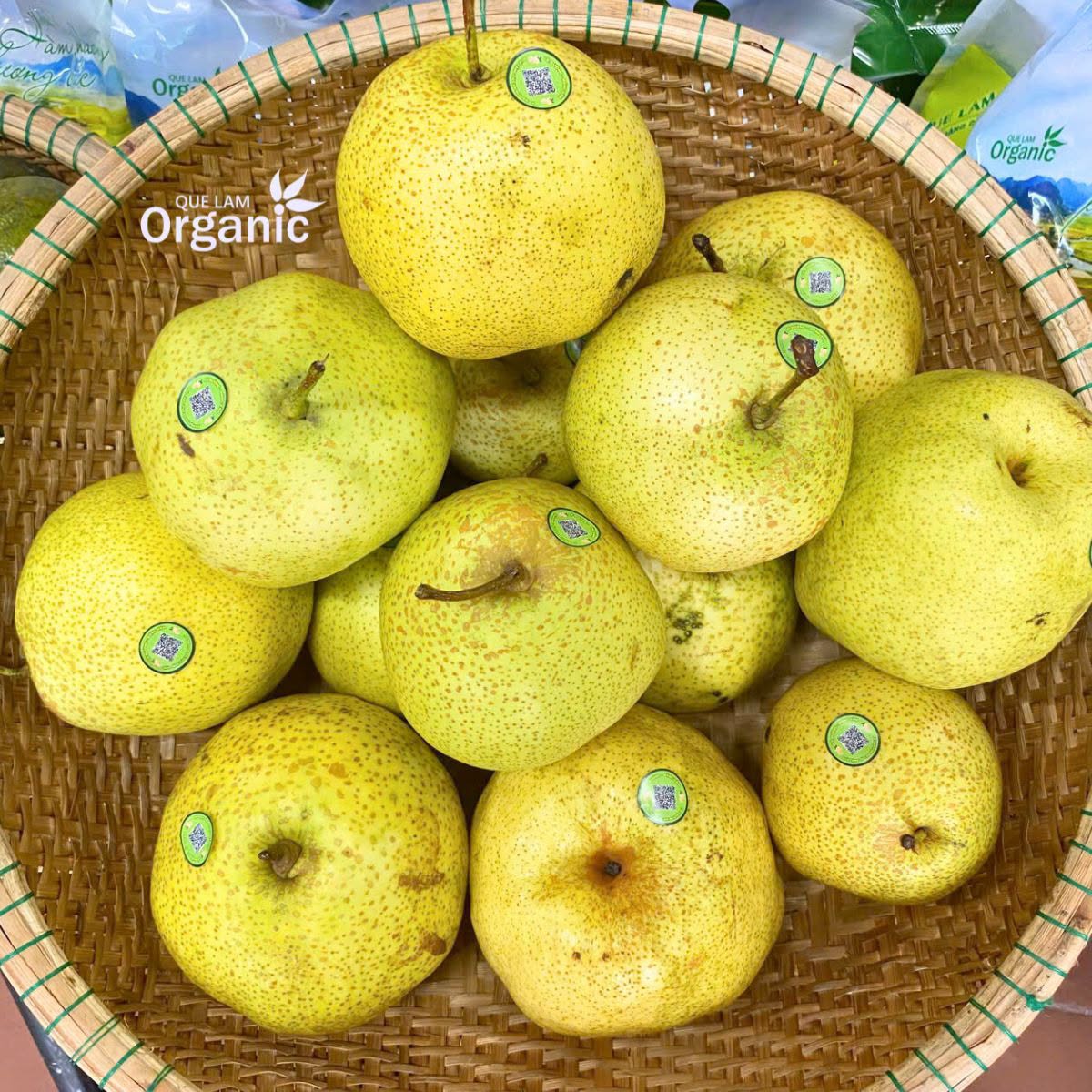 Lê mật Hà Giang